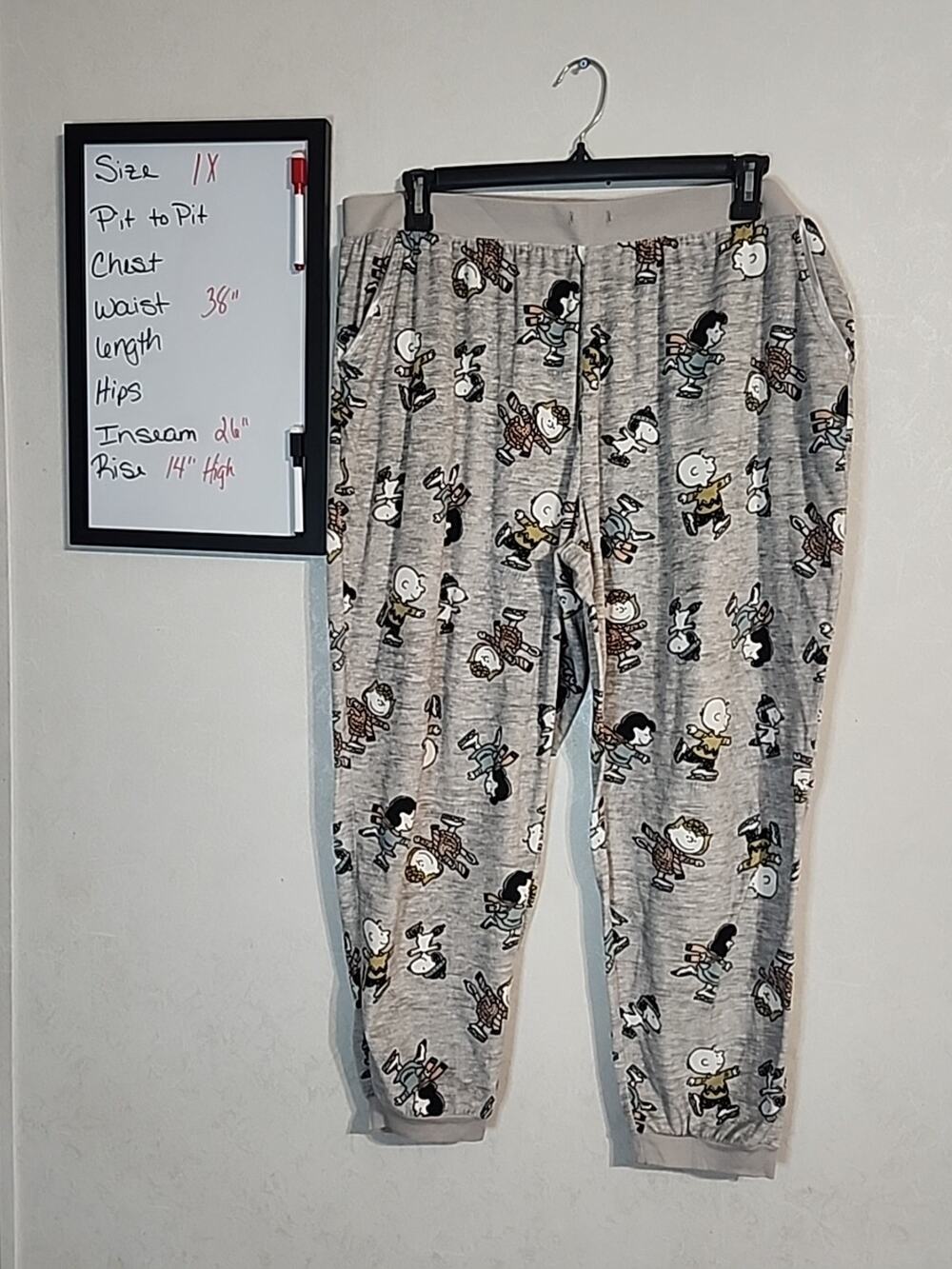 Peanuts Gang Womens Lounge Pants Gray sz 1X Relaxed Pockets Snoopy Linus Lucy